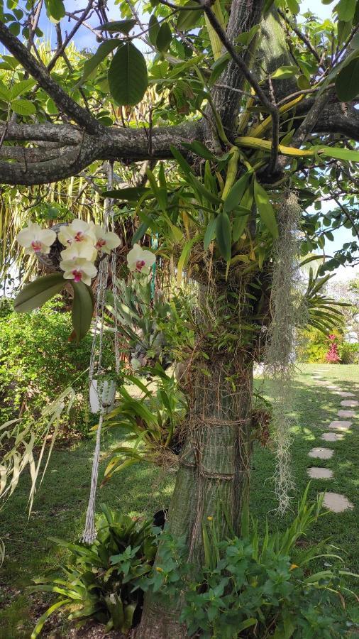 Villa Titemarina Le Gosier  Εξωτερικό φωτογραφία